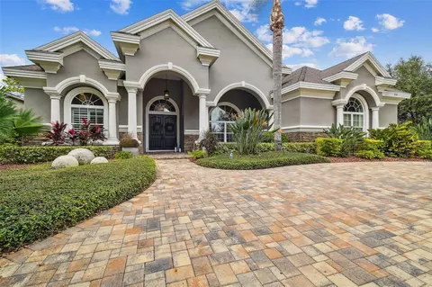 9738 Milano Dr, Trinity, FL 34655