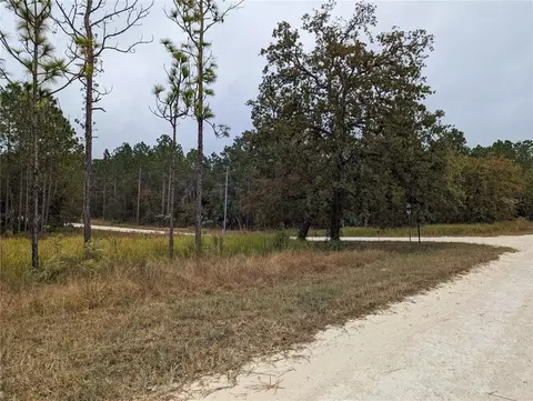 16058 Penn State Rd, Weeki Wachee, FL 34614