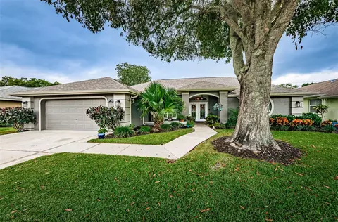 2692 Saddlewood Ln, Palm Harbor, FL 34685