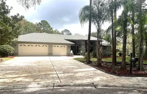 3101 Valemoor Dr, Palm Harbor, FL 34685