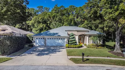4946 Kylemore Ct, Palm Harbor, FL 34685