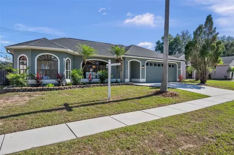 4135 Amber Ridge Ln, Valrico, FL 33594