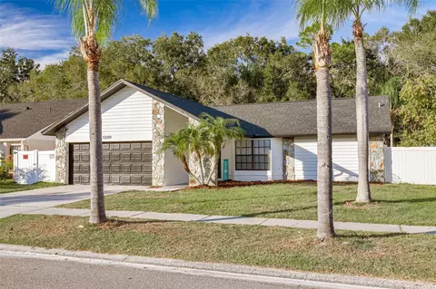 12209 Steppingstone Blvd, Tampa, FL 33635