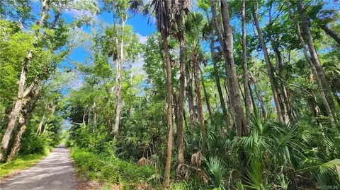 10079 W Fayette St, Homosassa, FL 34448