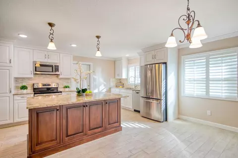 3272 Gorse Ct, Palm Harbor, FL 34684