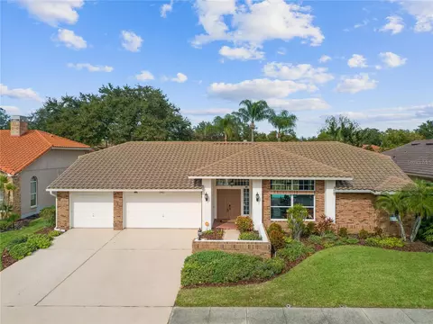 3917 Tarian Ct, Palm Harbor, FL 34684