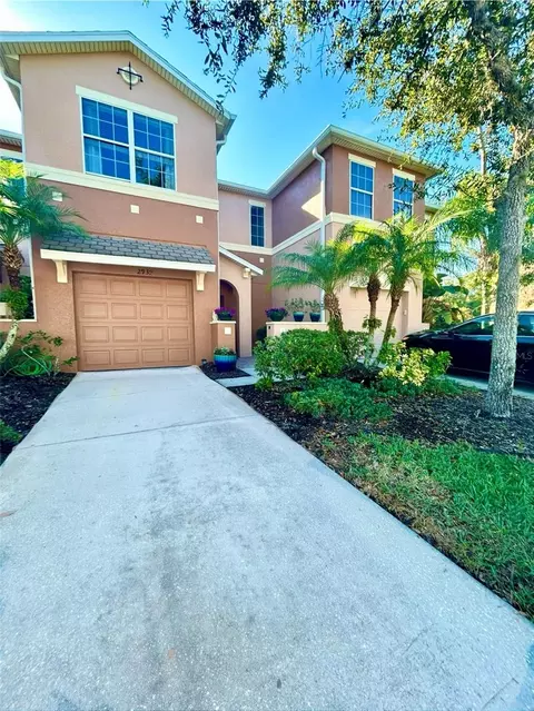 2939 Birchcreek Dr, Wesley Chapel, FL 33544