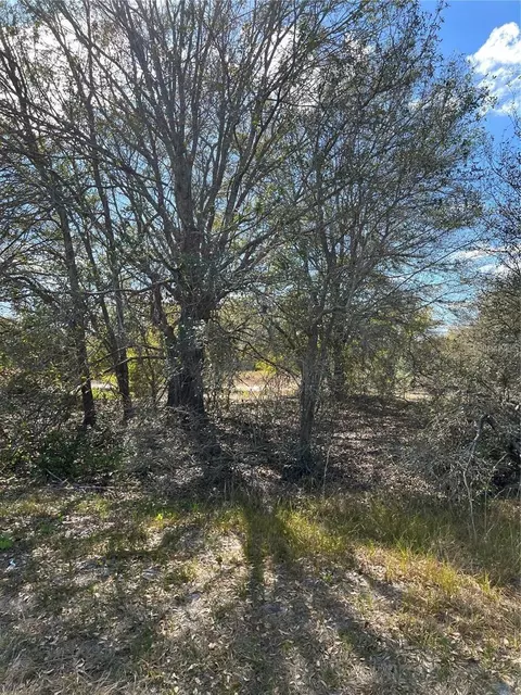 1010 S Brodie Rd, Avon Park, FL 33825