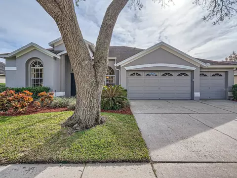 12404 Ashville Dr, Tampa, FL 33626