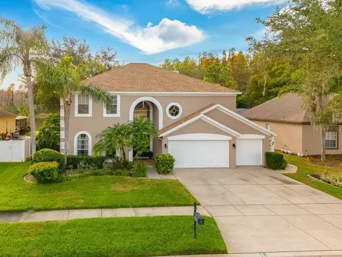 4322 Hawks Nest Dr, Lutz, FL 33558