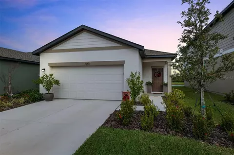 10435 Ladybug Cv, Parrish, FL 34219 photo 1
