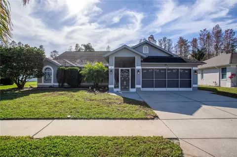 9800 Reynosa Dr, New Port Richey, FL 34655
