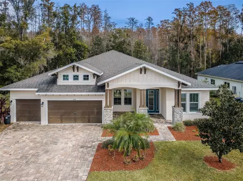 4006 Cove Lake Pl, Land O Lakes, FL 34639
