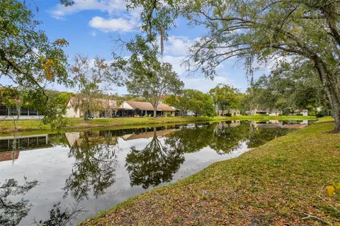 3022 Bolt Dr, Palm Harbor, FL 34685