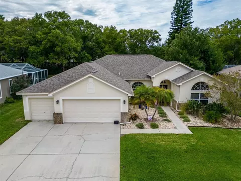 5216 Karlsburg Pl, Palm Harbor, FL 34685