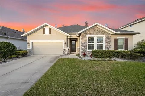 15301 Renaissance Ave, Odessa, FL 33556