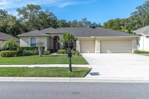 5192 Karlsburg Pl, Palm Harbor, FL 34685