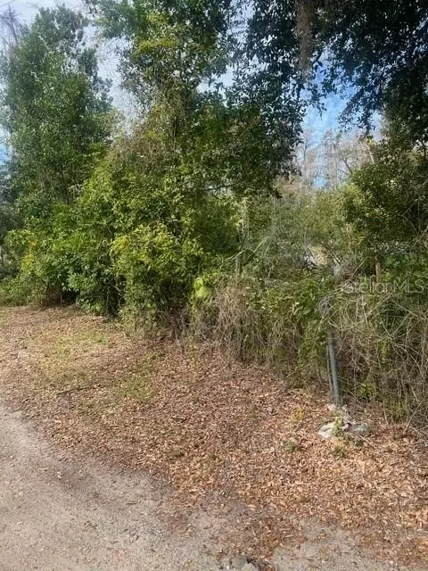 2859 Wilsky Rd, Land O Lakes, FL 34639
