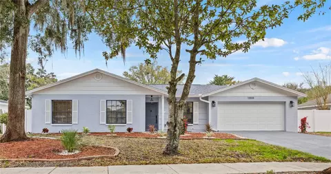 13333 Moran Dr, Tampa, FL 33618