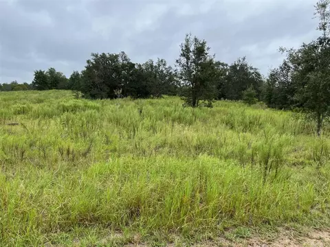 173 N Lavendale Ter, Inverness, FL 34453