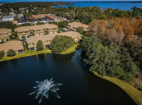 2564 Silverback Ct, Palm Harbor, FL 34684