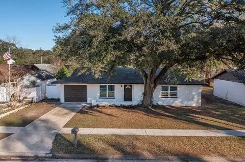 1320 Oakhill St, Seffner, FL 33584