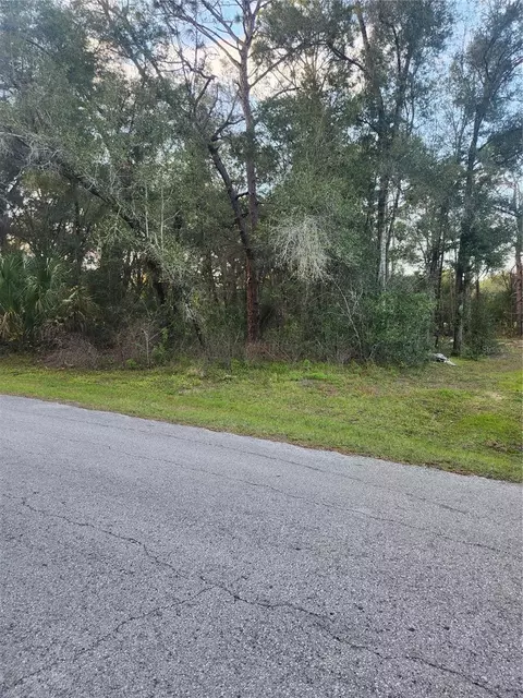 4029 E Walker St, Inverness, FL 34453