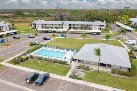 111 Nancy Dr, Oldsmar, FL 34677