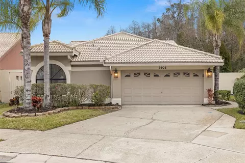 3605 Darston St, Palm Harbor, FL 34685