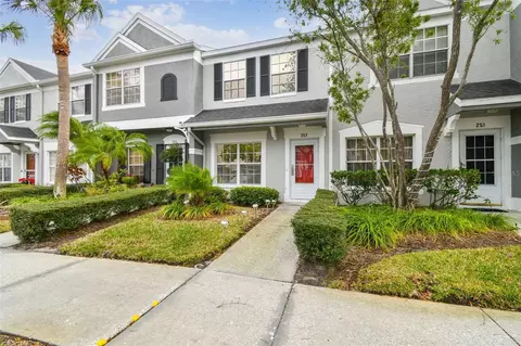 253 Countryside Key Blvd, Oldsmar, FL 34677