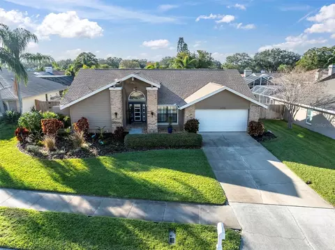 2770 Scobee Dr, Palm Harbor, FL 34683