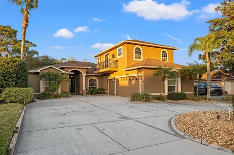 52 Citrus Dr, Palm Harbor, FL 34684