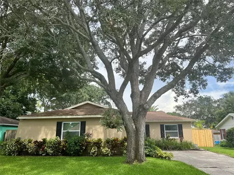 429 Tangerine Dr, Oldsmar, FL 34677
