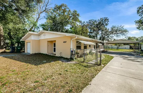 4207 E Bird St, Tampa, FL 33617