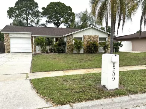 8209 Drycreek Dr, Tampa, FL 33615