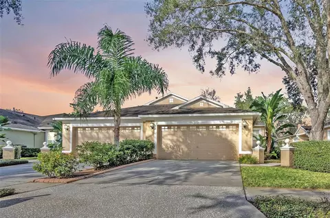 8612 Snowy Owl Way, Tampa, FL 33647