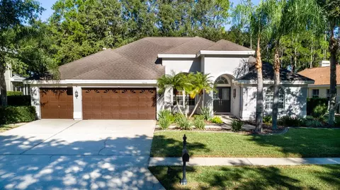 5294 Karlsburg Pl, Palm Harbor, FL 34685