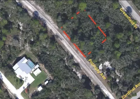 1231 Popinjay Ave, Lake Placid, FL 33852