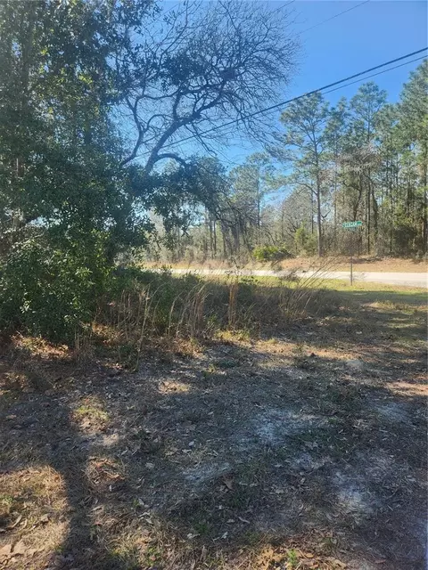 2776 W Madrid St, Citrus Springs, FL 34434