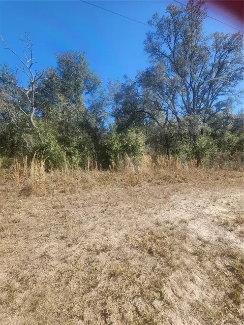 9019 N Elkcam Blvd, Citrus Springs, FL 34433