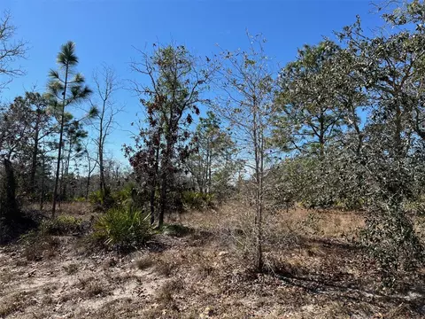 10 Smilax Ct S, Homosassa, FL 34446