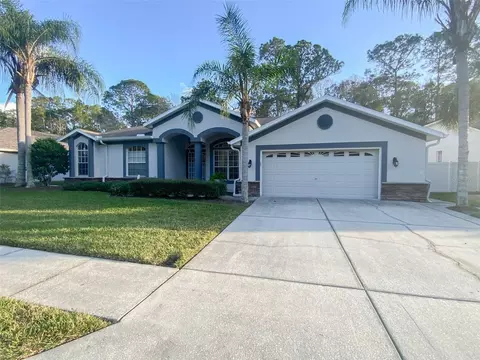 12338 Eclipse Ct, New Port Richey, FL 34654