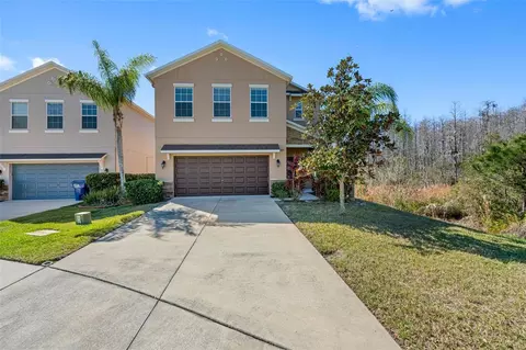 18980 Hampstead Heath Ct, Land O Lakes, FL 34638