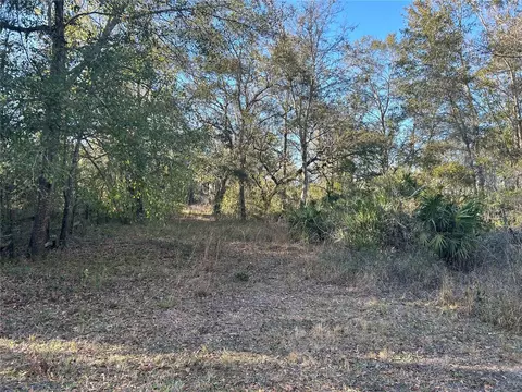 Chipley Street, New Port Richey, FL 34654