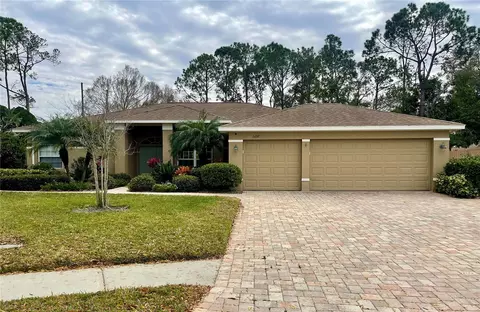 2698 Oleander Ct, Palm Harbor, FL 34684