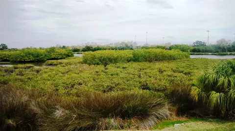 151 Clubview Dr #128, Safety Harbor, FL 34695