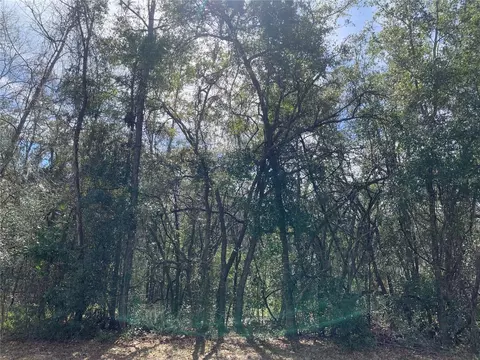 570 W Chase St, Hernando, FL 34442