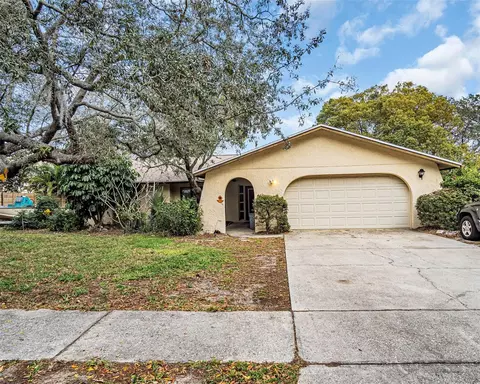 1426 Vermont Ave, Tarpon Springs, FL 34689