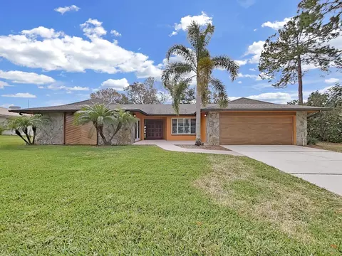 1541 Glen Hollow Ln S, Dunedin, FL 34698