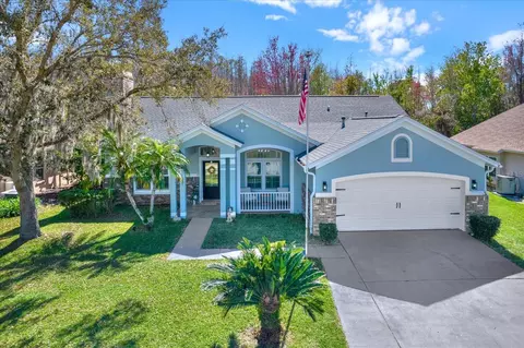 1108 Big Sky Dr, Wesley Chapel, FL 33543